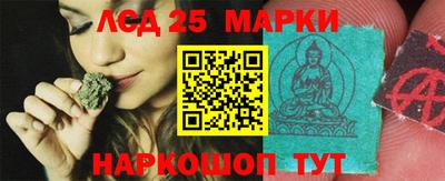 гидропоника Бугуруслан