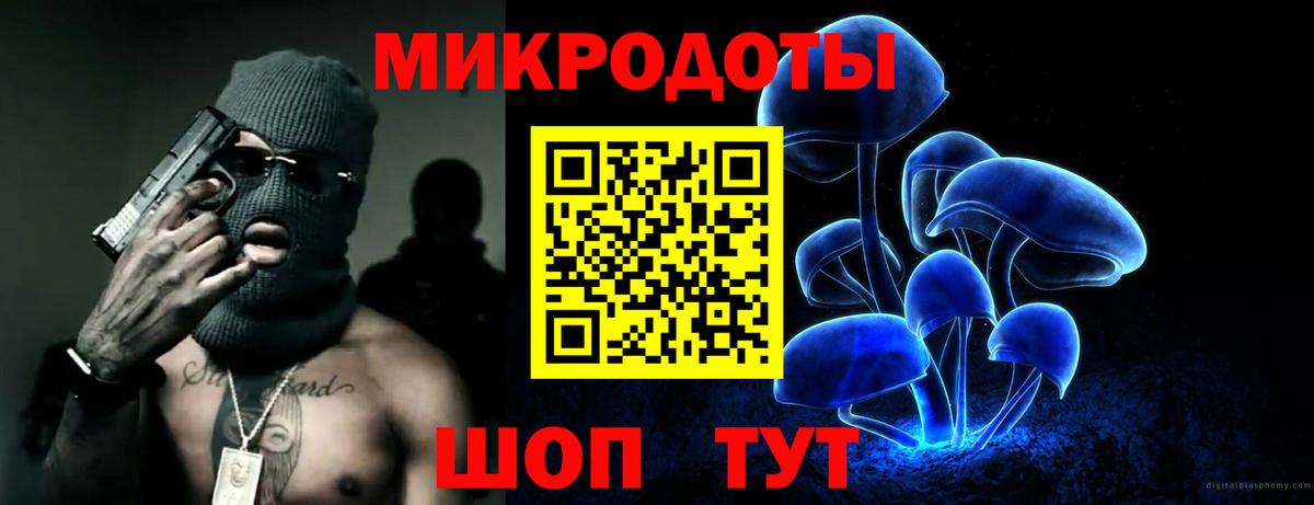 Псилоцибиновые грибы Psilocybe Киреевск